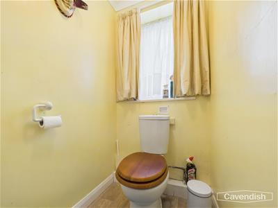 Picture 15